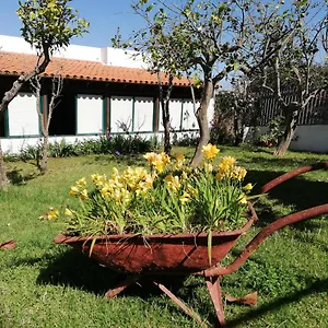 Limón Y Sol Сasa de vacaciones El Sauzal